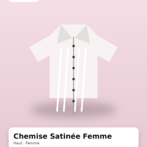Chemise Satinée Femme